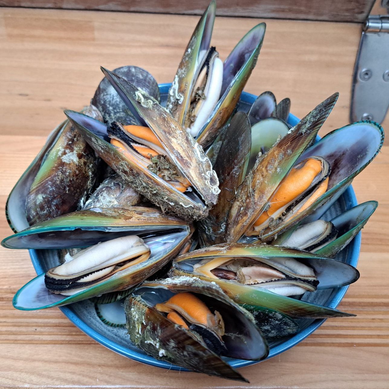 Jim’s Mussels