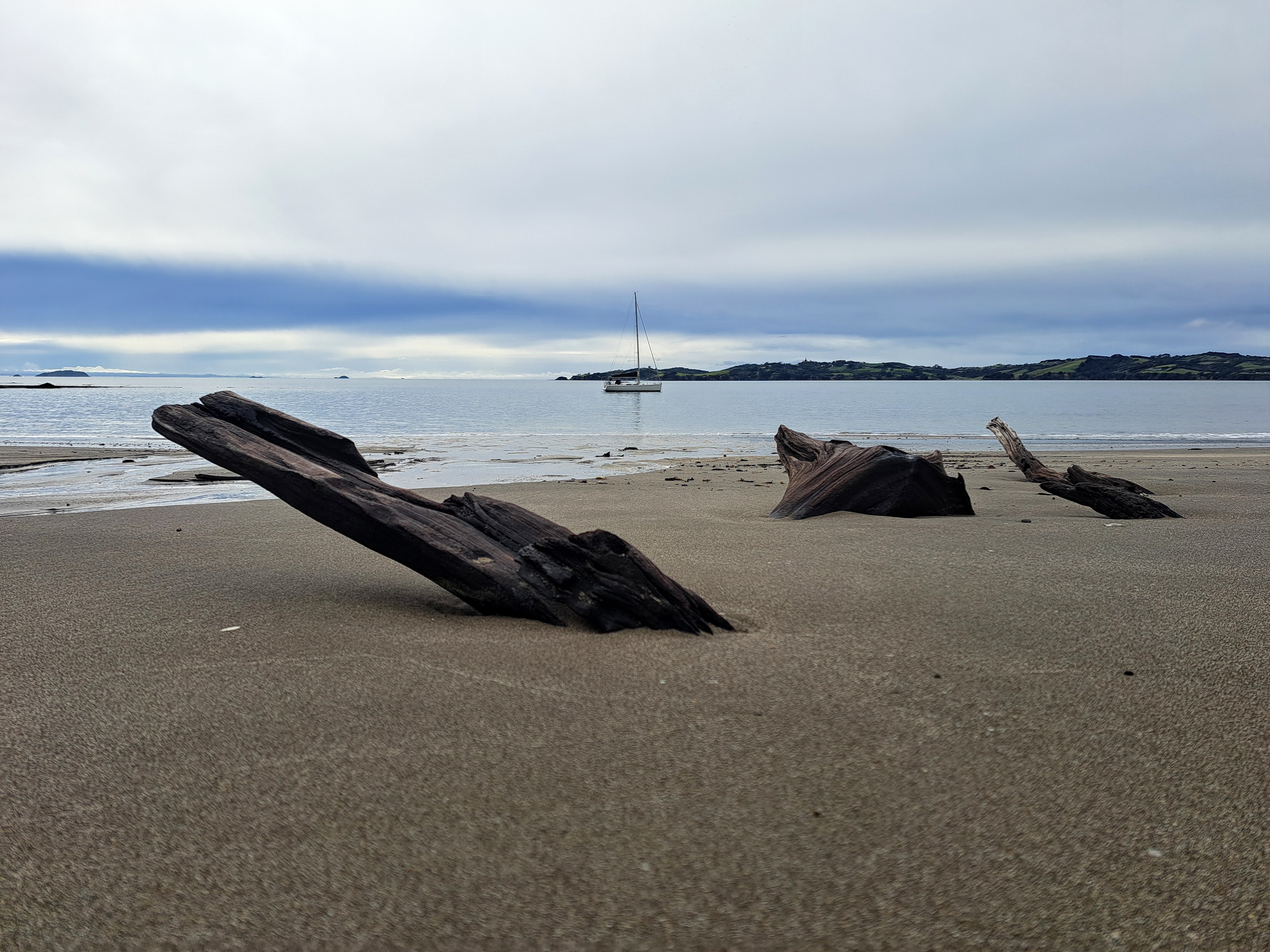 Fishing Adventures: Snapper Bay and Rakino Highlights