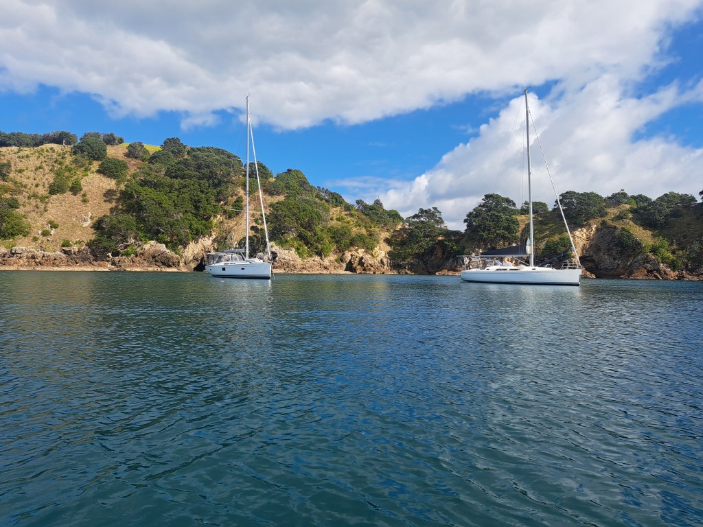 Sailing Adventures and Seafood Feasts: Waiheke 2026
